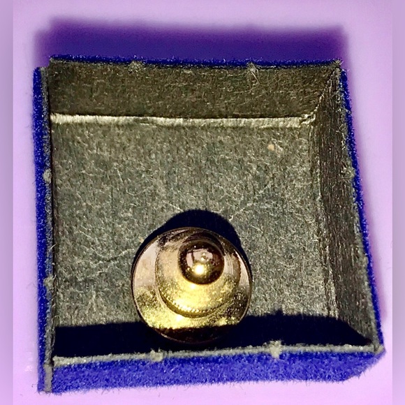 Vintage 1994 Gold Tone Blue Enameled MSA Michigan State Champion LAPEL PIN Badge - Picture 3 of 4